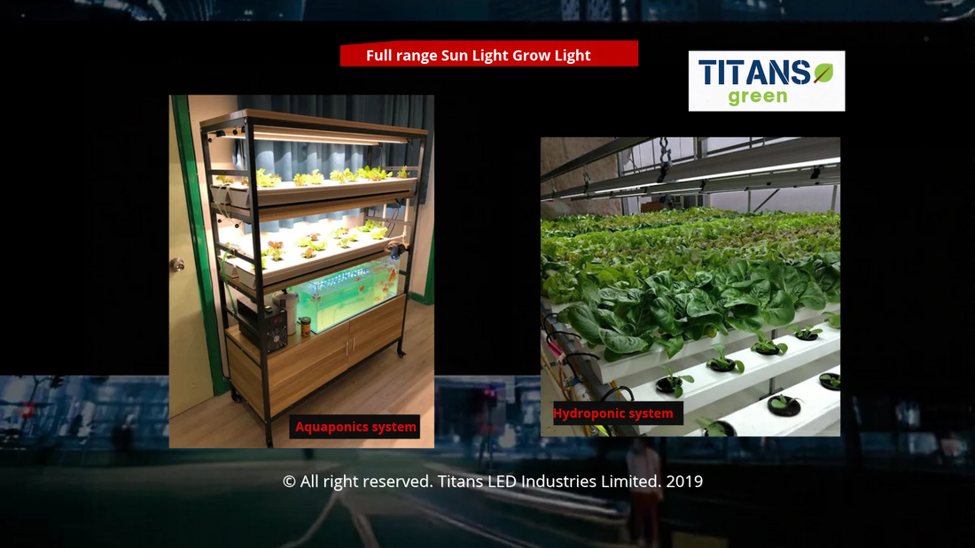 How LED Grow Light Spectrum, PPFD, DLI and Fixture Dimensions Affect Indoor Farming